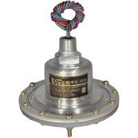 CCS Pressure Switch, 675GE Series